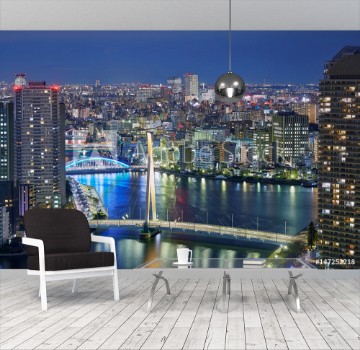 Picture of Night Tokyo panorama with wide angle aerial view of Sumida river in illuminated Tokyo with bright bridges skyscrapers and dark cloudy sky